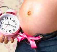 Лигавицата щепсел по време на бременност