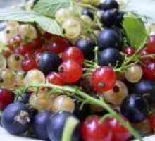 Френско грозде сортове