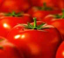 Сортове домати, устойчиви на мана