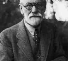 Структурата на психиката според Фройд