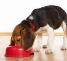 Суха храна за кучета от дребни породи