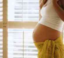 Тъмно кафяв освобождаване от отговорност по време на бременност
