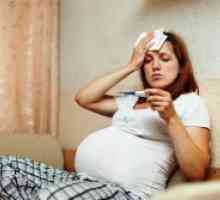 Свинският грип при бременни жени
