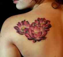 Lotus Татуировка - стойност