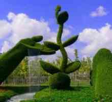 Topiary градини - невероятни форми