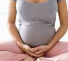 TSH по време на бременност