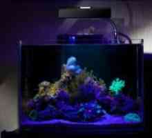 Ултравиолетова лампа за аквариум