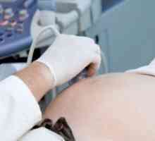 Бъбречна ултразвук по време на бременност