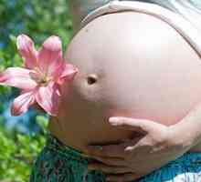 Варицела по време на бременност