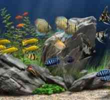 Видове аквариумни риби