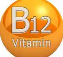 Витамин В12 - показанията