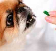 Витамини за кучета "шипка"