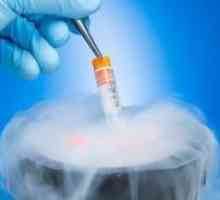 Витрификация клетъчни ембриони