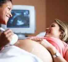 Вреда ултразвук по време на бременност