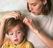 Въшките при децата - лечение у дома