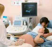Вторият ултразвук по време на бременност