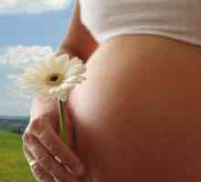 Висок прогестерон по време на бременност