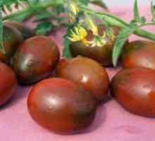 Високодобивни сортове домати в оранжерии