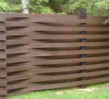 Ракита ограда