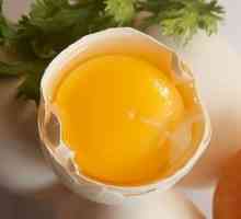 Яйчен жълтък - ползи и вреди