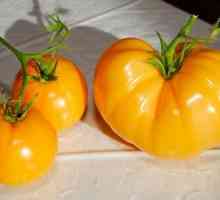 Жълти домати - сортове