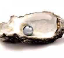 Pearl - магическите свойства на камъни
