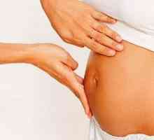 Коремът на 15 седмица от бременността