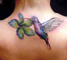 Значение татуировка Hummingbird