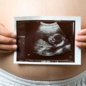 21 Седмици от бременността - фетален размер