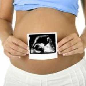 22 Седмици от бременността - фетални движения