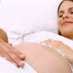 31 Седмица от бременността - фетална движение