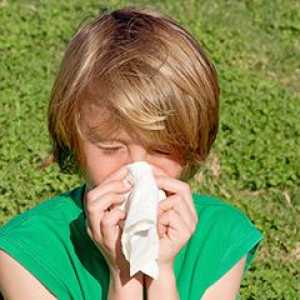 Алергична кашлица при дете