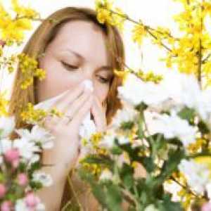 Алергия на цъфтежа