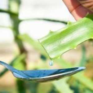 Aloe - лечебни свойства