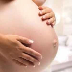 Тестове по време на бременността