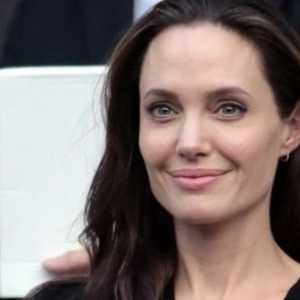 Анджелина Джоли се продава къща във Франция, за да преследва политическа кариера в Лондон