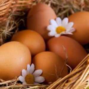 Яйчен белтък - калории