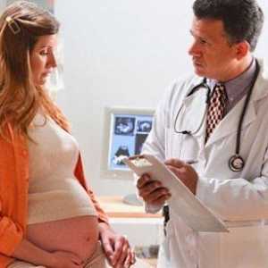 Белтъкът в урината по време на бременност - какво да правя?
