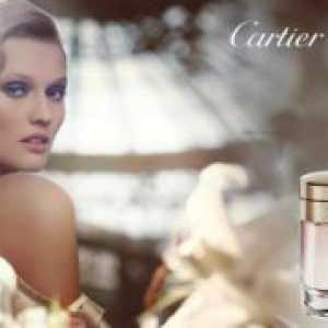 Cartier baiser полевка