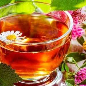 Чай, направен от детелина - ползи и вреди