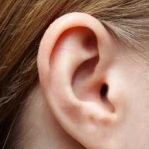 Какво става, ако в ухото е изложен на вода?