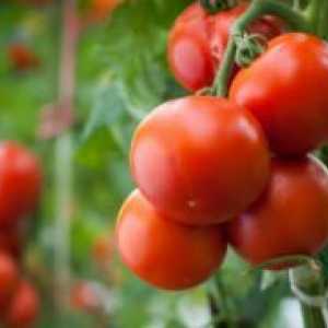 Какво е определими сортове домати?