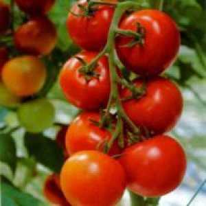 Какво означава това, определими сортове домати?