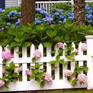 Декоративна пластмаса ограда