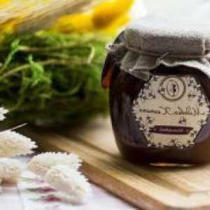 Дягилев мед - полезни свойства и противопоказания