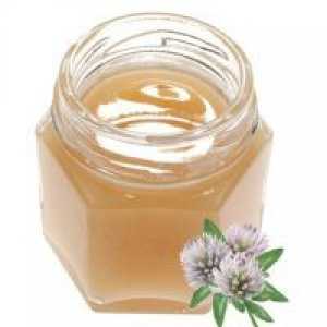 Sweet Clover мед - полезни свойства