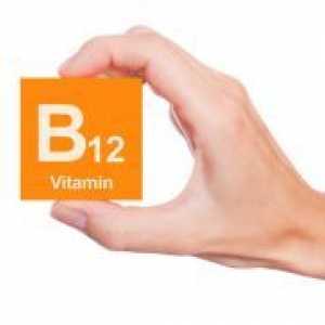 Която съдържа витамин В12?