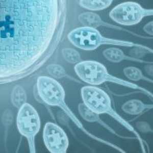 Генетичният анализ на бременност