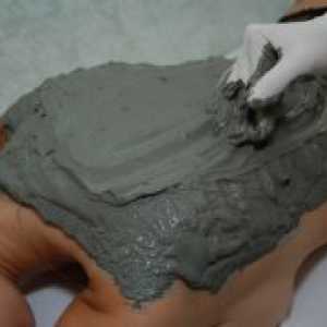 Сините глина - свойства и приложения за фуги