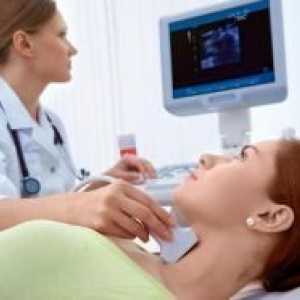 Хормоните на щитовидната жлеза по време на бременност